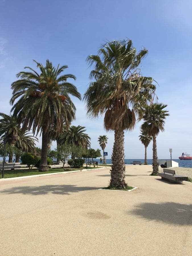 Savona bloemenriviera, Italië