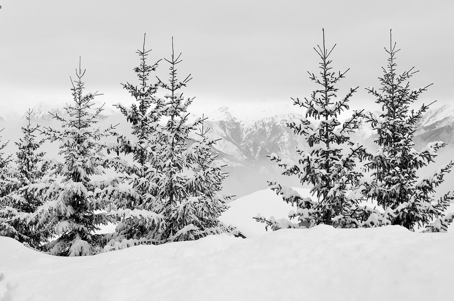 Skiën Ligurië en Piemonte, Italië