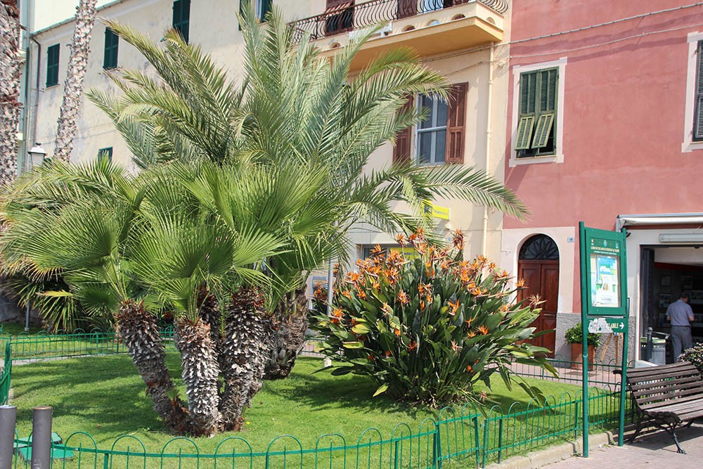 centrum Santo Stefano al Mare centrum Santo Stefano al Mare